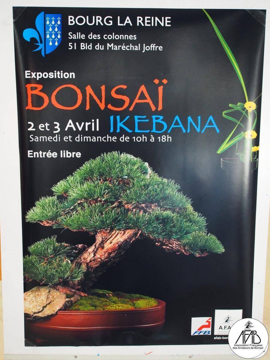 Bonsaïs Exposition AFAB Bourg La Reine - 01/04/2022