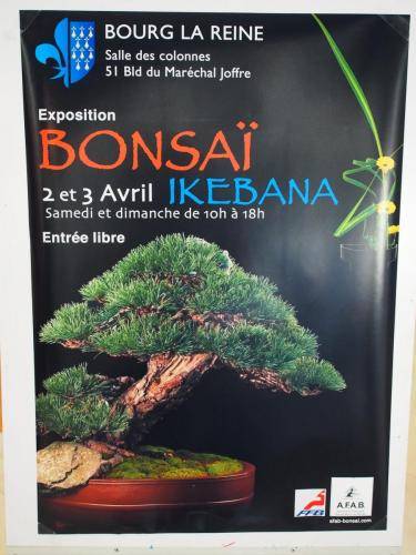 Bonsaïs Exposition AFAB Bourg La Reine - 01/04/2022