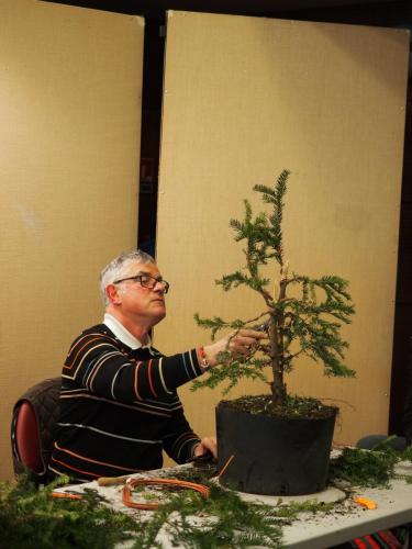 Concours de création et de formation d’un bonsaï - Expo AFAB 01/04/2022