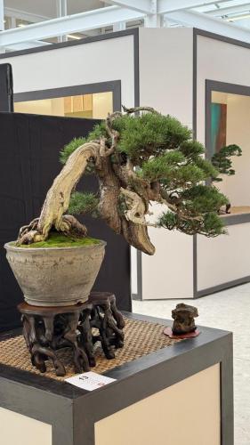 PHOTO-2024-10-26-21-55-383