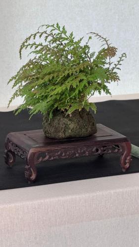 PHOTO-2024-10-26-21-55-39