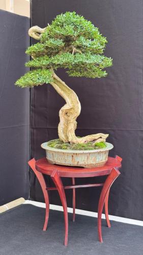 PHOTO-2024-10-26-21-55-391