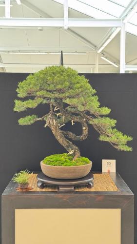 PHOTO-2024-10-26-21-55-392