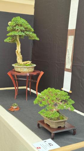 PHOTO-2024-10-26-21-55-393