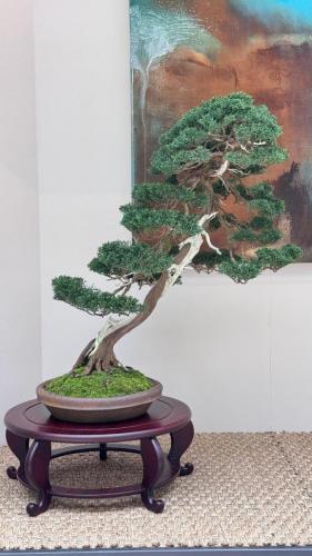 PHOTO-2024-10-26-21-55-40