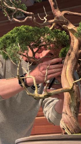 PHOTO-2024-10-26-21-55-402