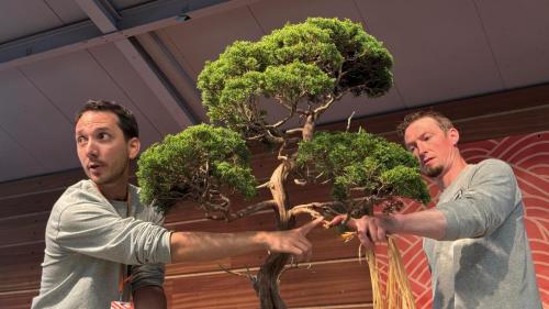 PHOTO-2024-10-26-21-55-403