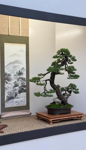 PHOTO-2024-10-26-21-57-32