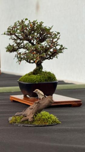 PHOTO-2024-10-26-21-57-321