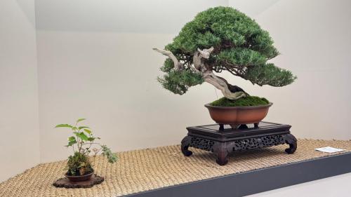 PHOTO-2024-10-26-21-57-331