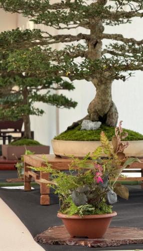 PHOTO-2024-10-26-21-57-333