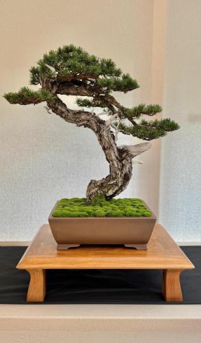 PHOTO-2024-10-26-21-57-34