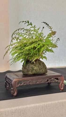 PHOTO-2024-10-26-21-57-341