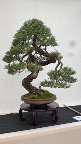 PHOTO-2024-10-26-21-57-342