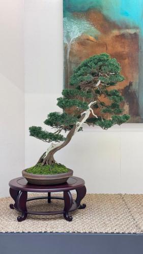 PHOTO-2024-10-26-21-57-343