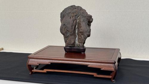 PHOTO-2024-10-26-21-57-344