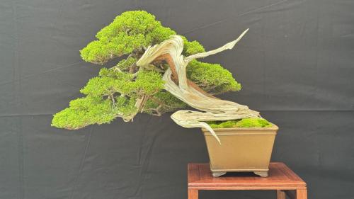 PHOTO-2024-10-26-21-57-345