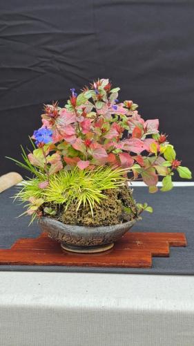 PHOTO-2024-10-26-21-57-35