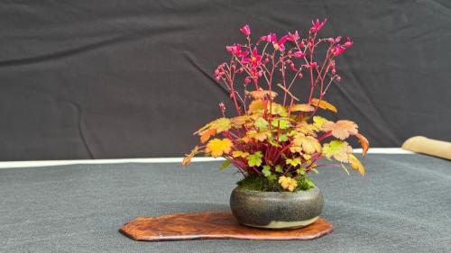 PHOTO-2024-10-26-21-57-351