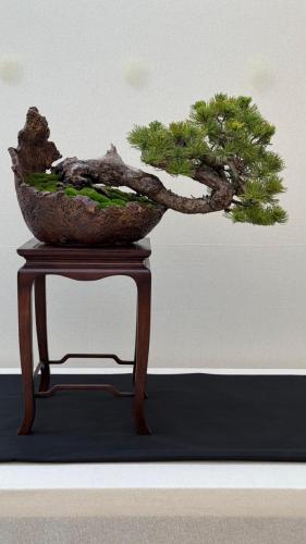 PHOTO-2024-10-26-21-57-352