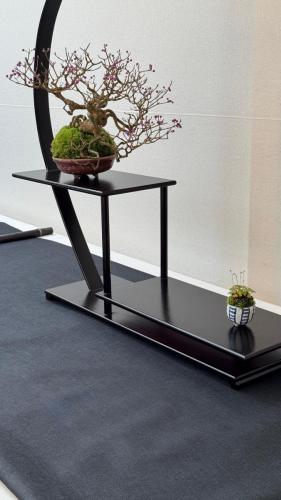 PHOTO-2024-10-26-21-57-353