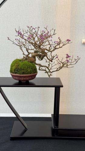 PHOTO-2024-10-26-21-57-354