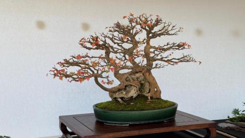 PHOTO-2024-10-26-21-57-355