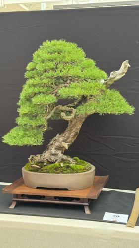 PHOTO-2024-10-26-21-59-42