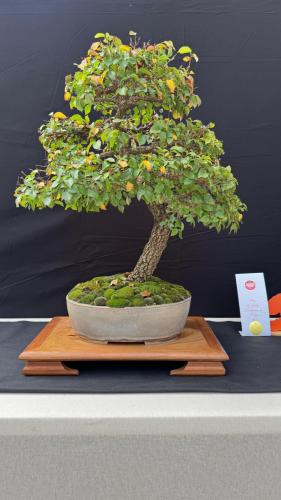 PHOTO-2024-10-26-21-59-43