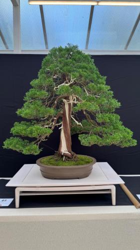 PHOTO-2024-10-26-21-59-431