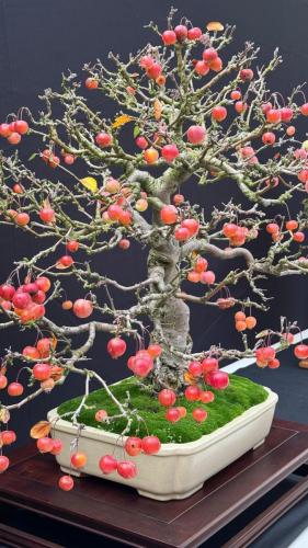 PHOTO-2024-10-26-21-59-432