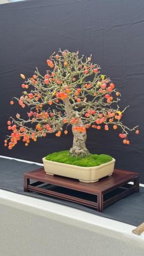 PHOTO-2024-10-26-21-59-433