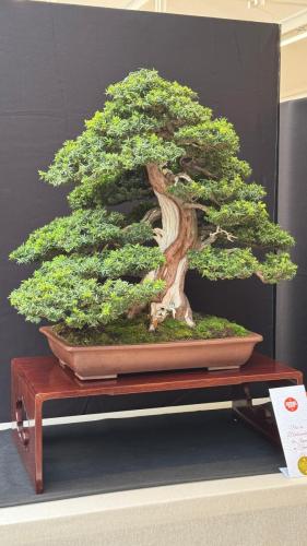 PHOTO-2024-10-26-21-59-434