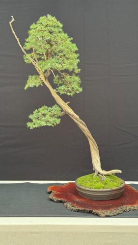 PHOTO-2024-10-26-21-59-435