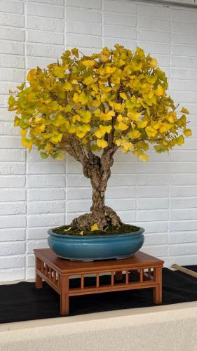 PHOTO-2024-10-26-21-59-44