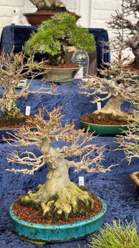 PHOTO-2024-10-26-21-59-442