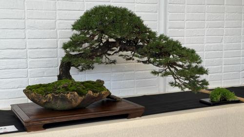 PHOTO-2024-10-26-21-59-443