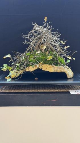 PHOTO-2024-10-26-21-59-444