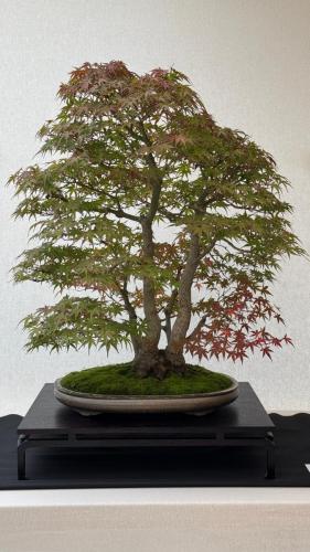 PHOTO-2024-10-26-21-59-45