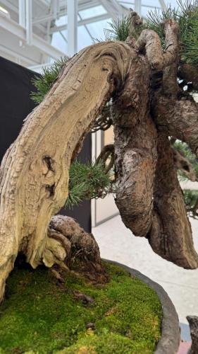 PHOTO-2024-10-26-21-59-451