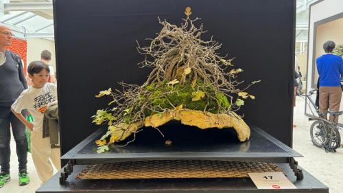 PHOTO-2024-10-26-21-59-452