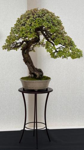 PHOTO-2024-10-26-21-59-453